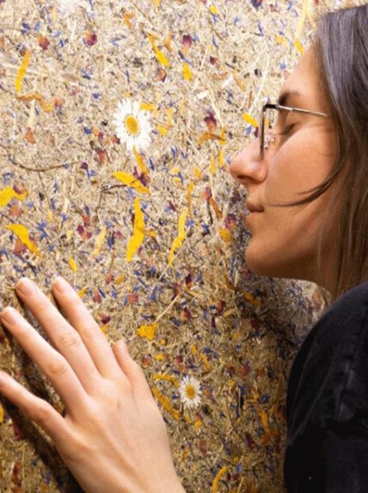 тапети от сушени треви